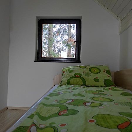 Vila Hajdi Planina Tara Bajina Basta Ngoại thất bức ảnh
