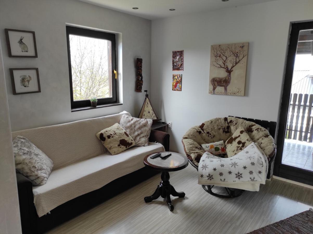 Vila Hajdi Planina Tara Bajina Basta Ngoại thất bức ảnh