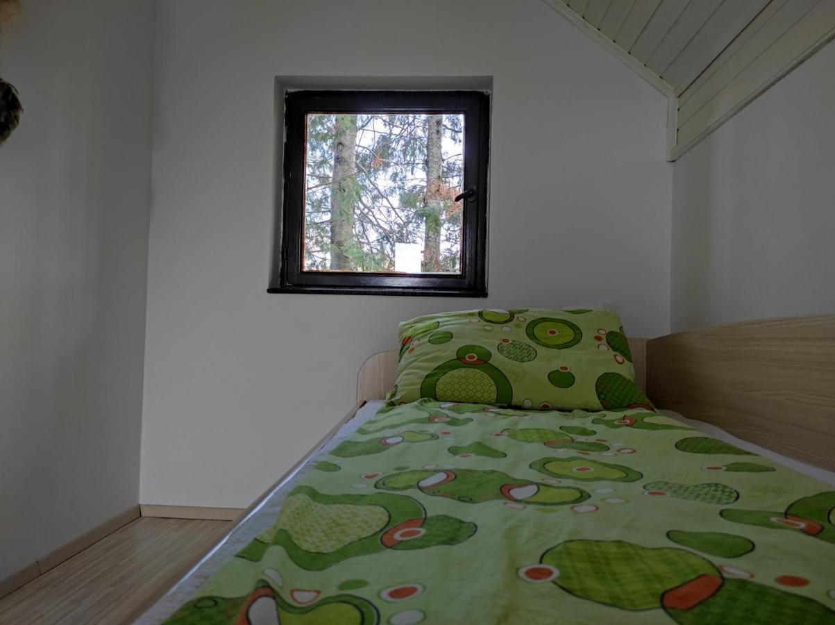 Vila Hajdi Planina Tara Bajina Basta Ngoại thất bức ảnh