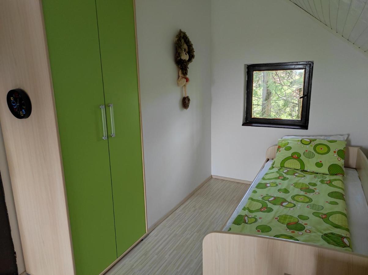 Vila Hajdi Planina Tara Bajina Basta Ngoại thất bức ảnh