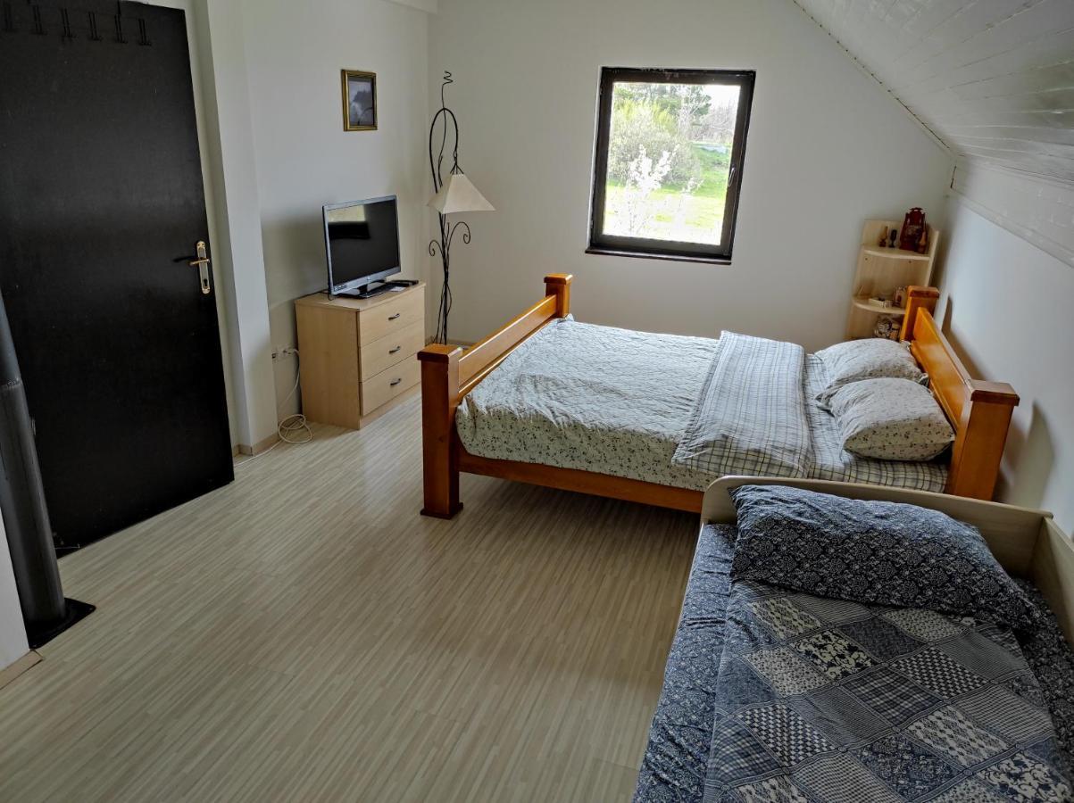 Vila Hajdi Planina Tara Bajina Basta Ngoại thất bức ảnh